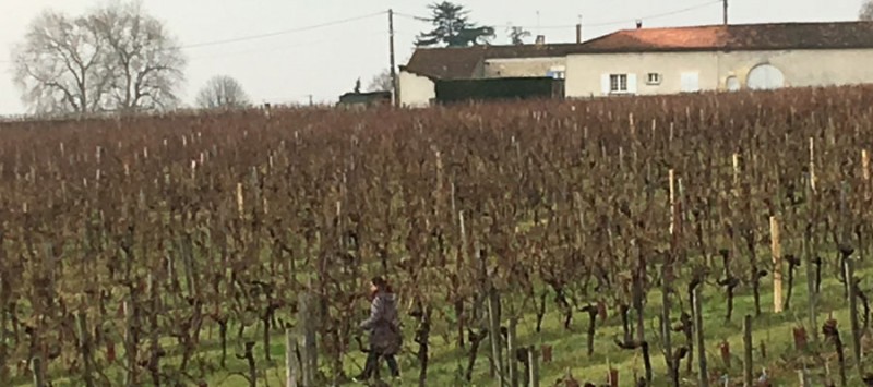 « La route du Cognac » avec votre « Cognac Educator » labellisée par le BNIC