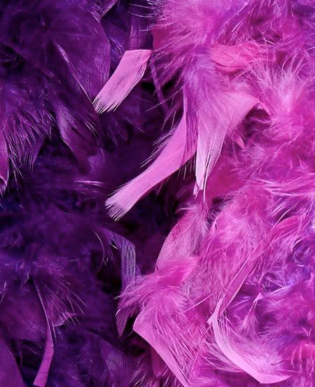 COULISSES HAUTE COUTURE